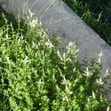 Img.VTax2511.Ex2.Img1