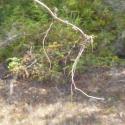 Img.VTax2514.Ex2.Img1