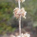 Img.VTax2514.Ex2.Img3