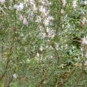 Img.VTax2518.Ex2.Img1