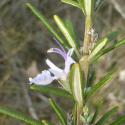 Img.VTax2518.Ex2.Img3