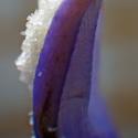 Img.VTax2518.Ex3.Img3