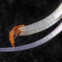 Img.VTax2518.Ex3.Img5