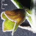Img.VTax2518.Ex3.Img7