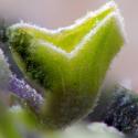 Img.VTax2518.Ex3.Img8