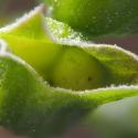 Img.VTax2518.Ex3.Img9