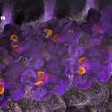 Img.VTax2520.Ex1.Img13