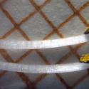 Img.VTax2534.Ex1.Img3