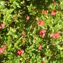 Img.VTax2537.Ex2.Img1