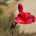 Img.VTax2537.Ex2.Img3