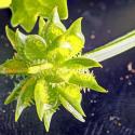 Img.VTax254.Ex3.Img9