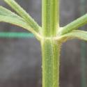 Img.VTax2540.Ex2.Img6