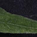 Img.VTax2540.Ex3.Img6