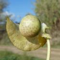 Img.VTax2546.Ex2.Img6