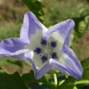 Img.VTax2546.Ex2.Img9