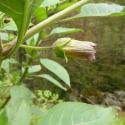 Img.VTax2548.Ex1.Img6