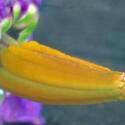 Img.VTax2561.Ex2.Img3