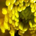 Img.VTax257.Ex2.Img7
