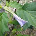 Img.VTax2573.Ex1.Img6