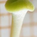 Img.VTax2576.Ex3.Img6