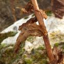 Img.VTax2580.Ex2.Img3