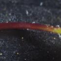 Img.VTax2581.Ex2.Img6
