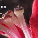 Img.VTax2593.Ex2.Img19