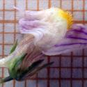 Img.VTax2614.Ex3.Img17