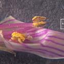 Img.VTax2614.Ex3.Img3