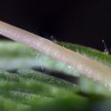 Img.VTax2614.Ex3.Img8