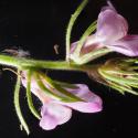 Img.VTax2614.Ex3.Img9