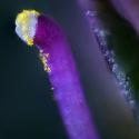 Img.VTax2618.Ex2.Img1