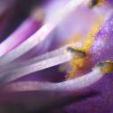 Img.VTax2618.Ex2.Img5