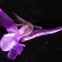 Img.VTax2618.Ex2.Img7