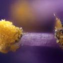 Img.VTax2618.Ex2.Img8