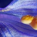 Img.VTax2624.Ex4.Img6