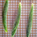 Img.VTax2624.Ex4.Img9