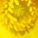 Img.VTax264.Ex1.Img6