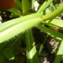 Img.VTax2645.Ex4.Img3