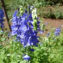 Img.VTax2656.Ex1.Img7