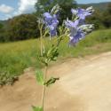 Img.VTax2658.Ex1.Img6