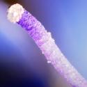 Img.VTax2659.Ex2.Img5