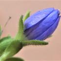 Img.VTax2665.Ex2.Img1