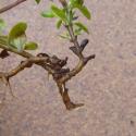 Img.VTax2665.Ex2.Img3