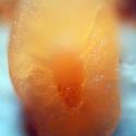Img.VTax2673.Ex2.Img10