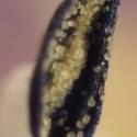 Img.VTax2673.Ex2.Img3