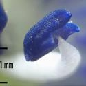 Img.VTax2676.Ex2.Img6