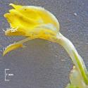 Img.VTax2689.Ex3.Img7