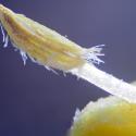 Img.VTax2689.Ex3.Img9