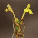 Img.VTax2705.Ex1.Img3